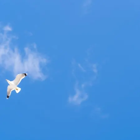 Hotell Mar I Cel & Canet-en-Roussillon